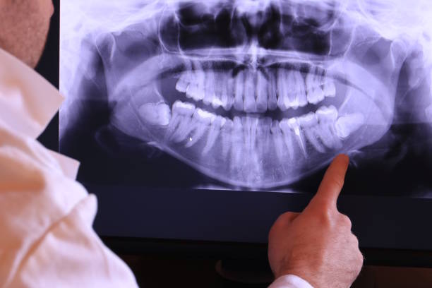 Best Emergency X-Rays and Diagnostics in Mapleton, ND